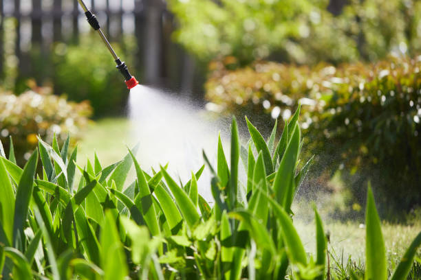 24/7 Emergency Rodent Control experts in Ronan, MT