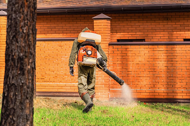 Top rated local Rodent Control specialists in Ronan, MT